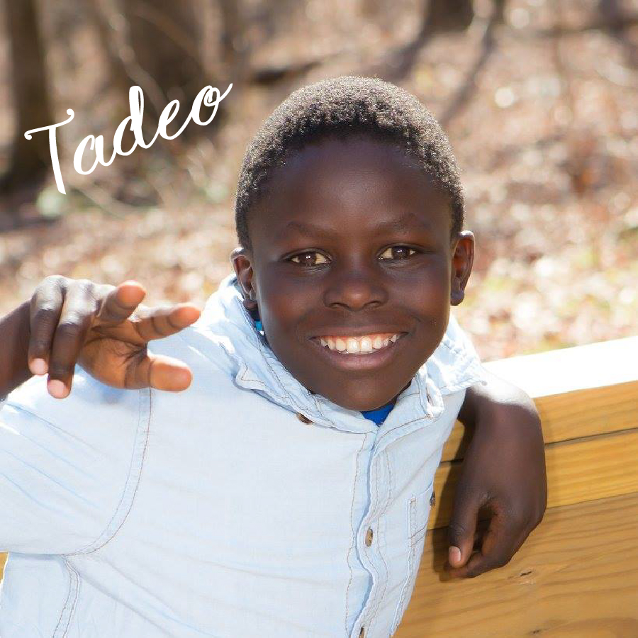 Tadeo-01